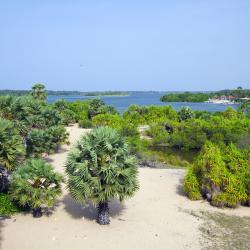 Batticaloa District Accommodation Singapore