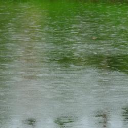 Bentota Lake, Bentota Accommodation Singapore