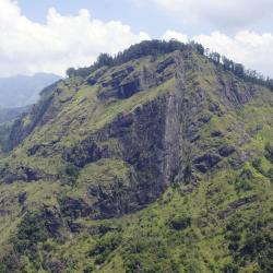 Ella Accommodation Singapore