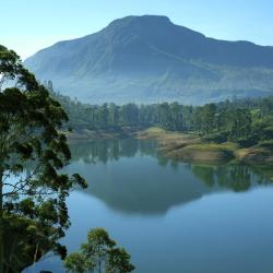 Matale District Accommodation Singapore