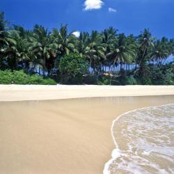 Mirissa Accommodation Singapore