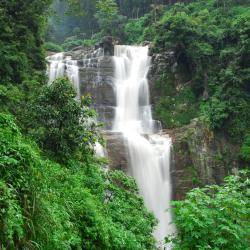 Nuwara Eliya Accommodation Singapore