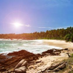 Tangalle Accommodation Singapore