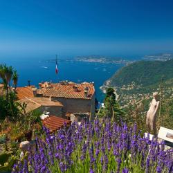 Exotic Garden of Monaco, Monte Carlo Accommodation Singapore