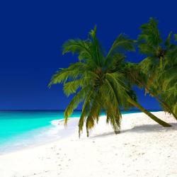 Baa Atoll Accommodation Singapore