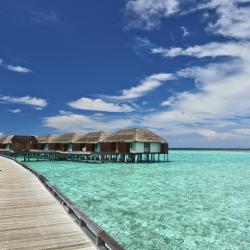 Dhiffushi Accommodation Singapore