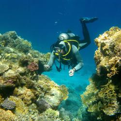 Dhigurah Accommodation Singapore