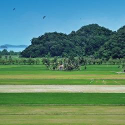 Kedah Accommodation Singapore