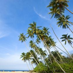 Terengganu Accommodation Singapore