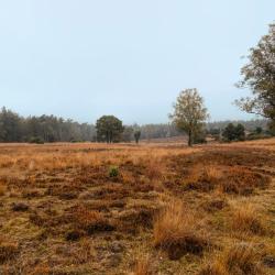 Achterhoek Accommodation Singapore