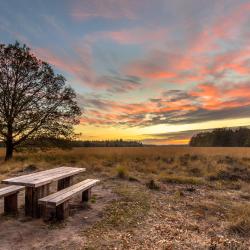 Drenthe Accommodation Singapore