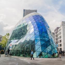 Eindhoven Accommodation Singapore