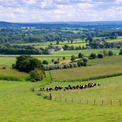 Limburg Accommodation Singapore