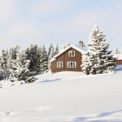 Lillehammer Accommodation Singapore