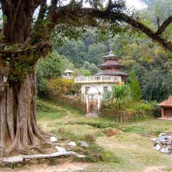 Bandipur Accommodation Singapore