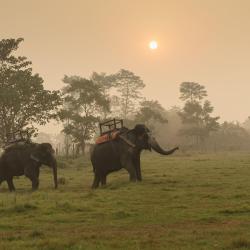 Chitwan Accommodation Singapore