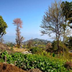 Dhulikhel Accommodation Singapore