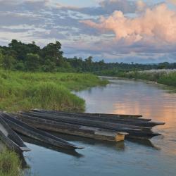 Sauraha Accommodation Singapore
