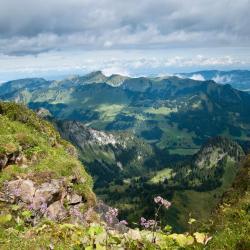 Coromandel Peninsula Accommodation Singapore