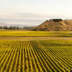 Hawke's Bay Accommodation Singapore