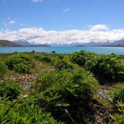 Lake Tekapo Accommodation Singapore