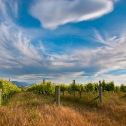 Marlborough Accommodation Singapore