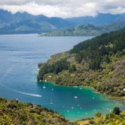 Marlborough Sounds Accommodation Singapore