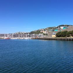 Wellington Accommodation Singapore