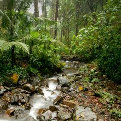 Boquete Accommodation Singapore