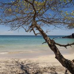 Chiriqui Accommodation Singapore