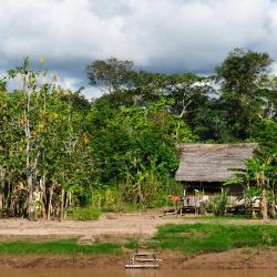 Iquitos Accommodation Singapore