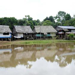 Puerto Maldonado Accommodation Singapore
