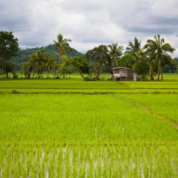 Mindoro Accommodation Singapore