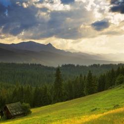 Gmina Bukowina Tatrzanska Accommodation Singapore