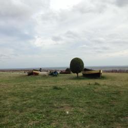 Kashubia Accommodation Singapore