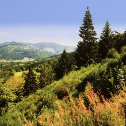 Lodz Accommodation Singapore