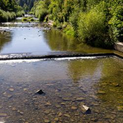 Wisla Accommodation Singapore