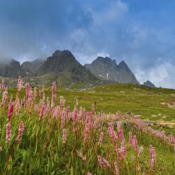 Santa Maria Accommodation Singapore