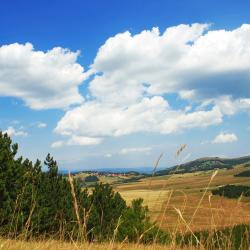 Zlatibor Accommodation Singapore