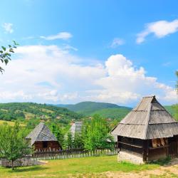 Zlatibor Region Accommodation Singapore
