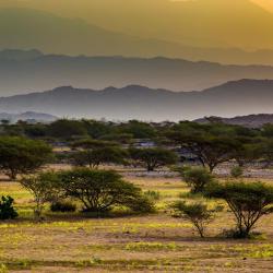 Jazan Province Accommodation Singapore