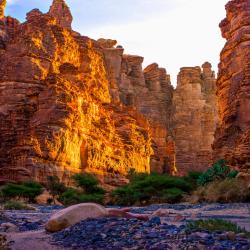 Tabuk Province Accommodation Singapore