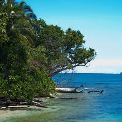 Honiara Accommodation Singapore