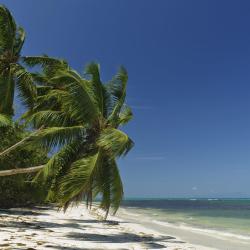 Grand'Anse Praslin Accommodation Singapore