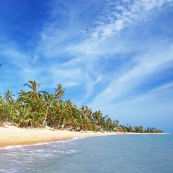 Koh Samui Accommodation Singapore