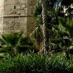 Sfax Accommodation Singapore