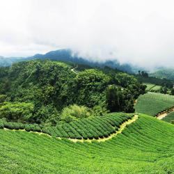 Chiayi County Accommodation Singapore