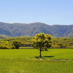Taitung County Accommodation Singapore