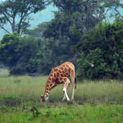 Mbarara Accommodation Singapore