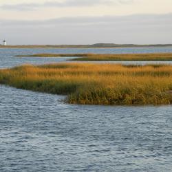 Cape Cod Accommodation Singapore